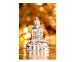 Buddha Shakyamuni versilbert