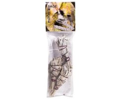 Weißer Salbei Fackel 12 x 4 cm, 3er Packung
