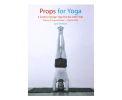 Props for Yoga Vol 3, Eyal Shifroni
