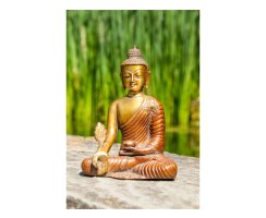 Buddha  Medizin 16cm