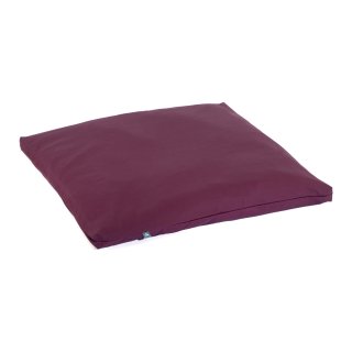 aubergine